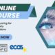 Online Course: Crowdsourcing for Civil Society Organizations